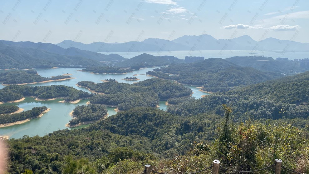 Nearby Environment-Nearby View
