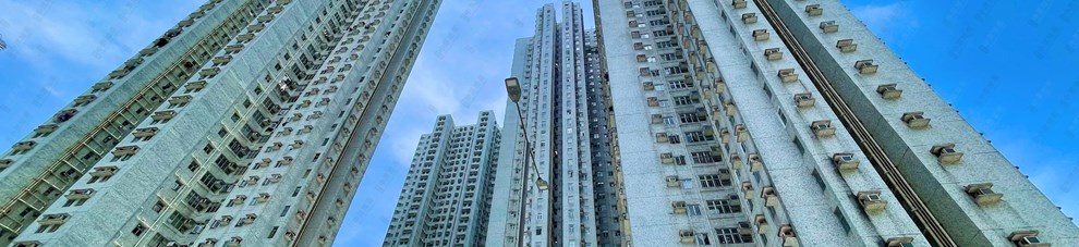 外觀