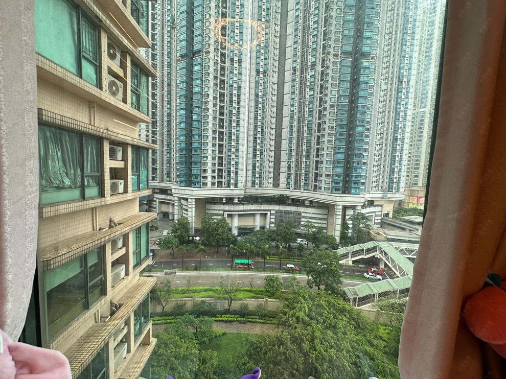Outside View-From Study Room