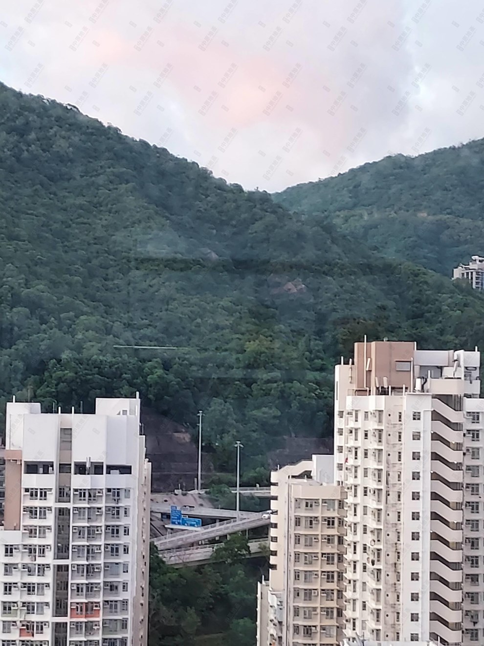窗外景观-由饭厅