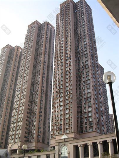新港城 4期 F座 高層 8室, 相片