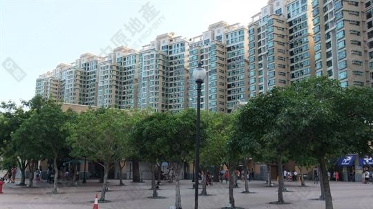 珀麗灣 1期 10座 低層 D室, 相片