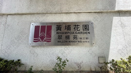 外觀
