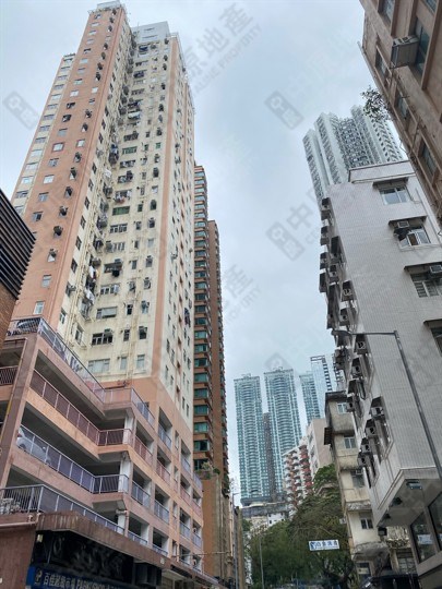 浣纱花园, 相片
