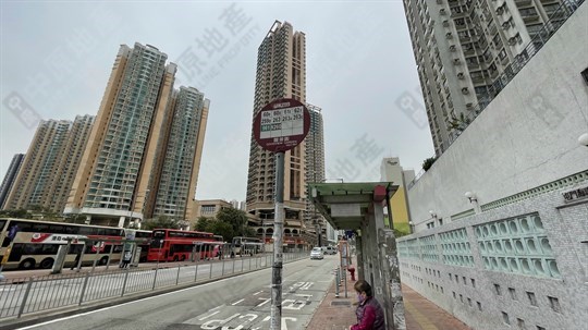 Bus Stop