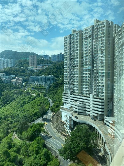 嘉苑, 相片