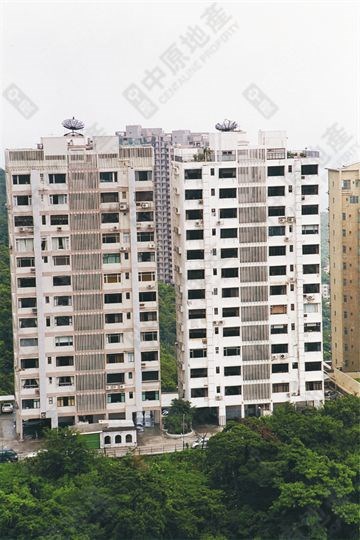 冠園, Photo