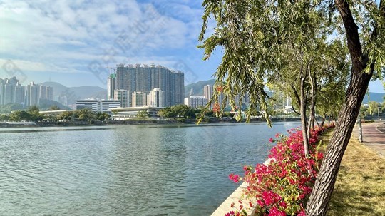 Nearby View