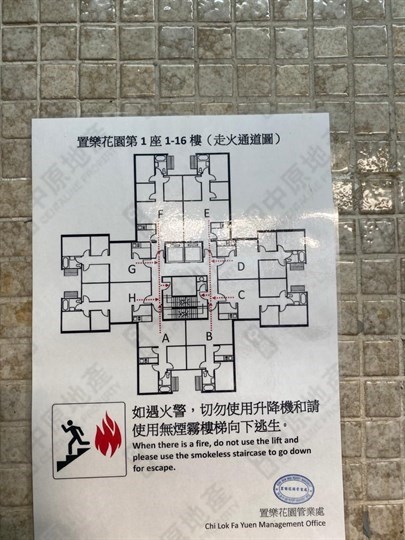 外觀