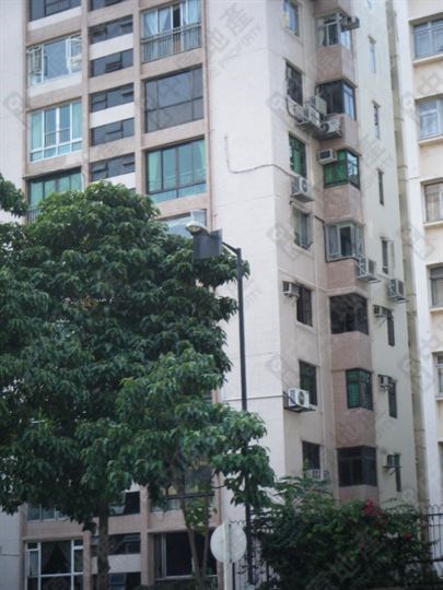 翠华楼, 相片