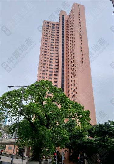 外觀