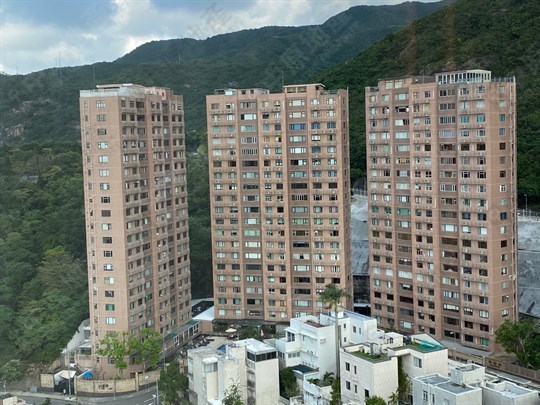 柏麗園, 相片