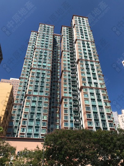 港麗豪園, 相片