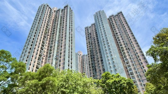 錦龍苑 龍昇閣 (D座) 高層 10室, 相片