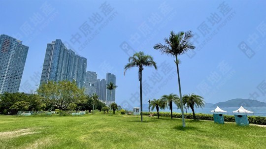 公園