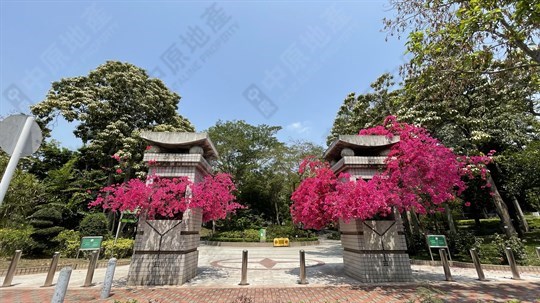 公園