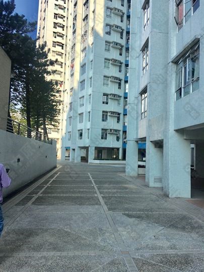 外觀