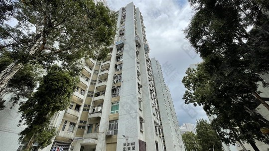 外觀