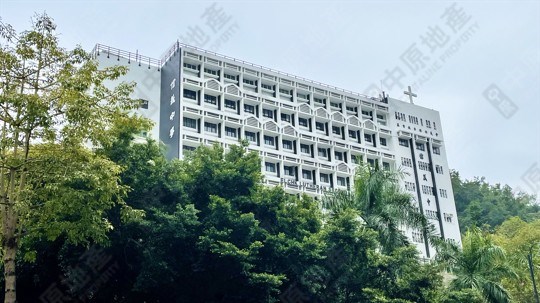学校