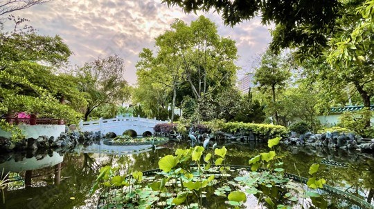 公園