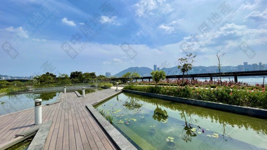 公園