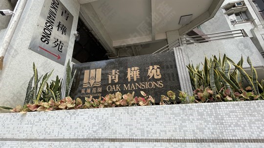 外觀