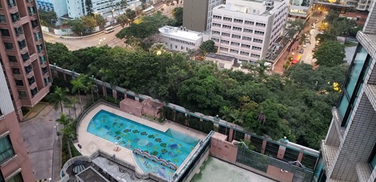 外觀
