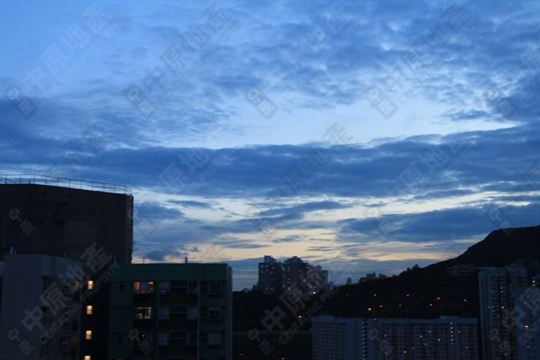 外觀