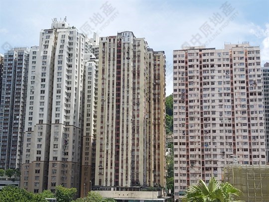 嘉和園, 相片
