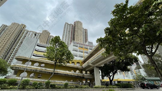 学校