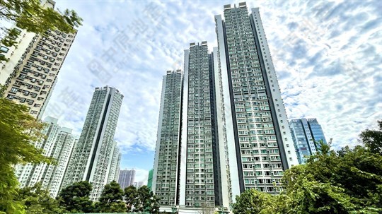 翠豐臺 3座 2房 低層 F室, 相片