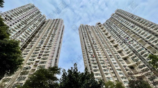 景林邨 景桃樓 (6座) 高層 24室, 相片