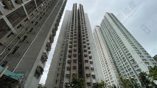 樂軒臺, 相片