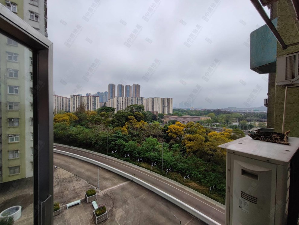 窗外景观-由客厅