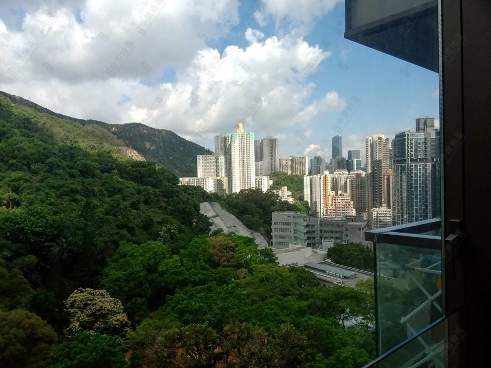 窗外景觀-由客廳