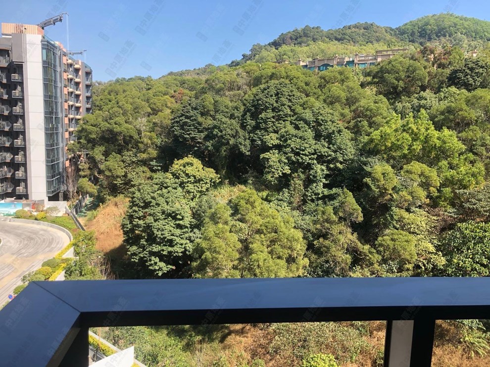 窗外景觀-由客廳