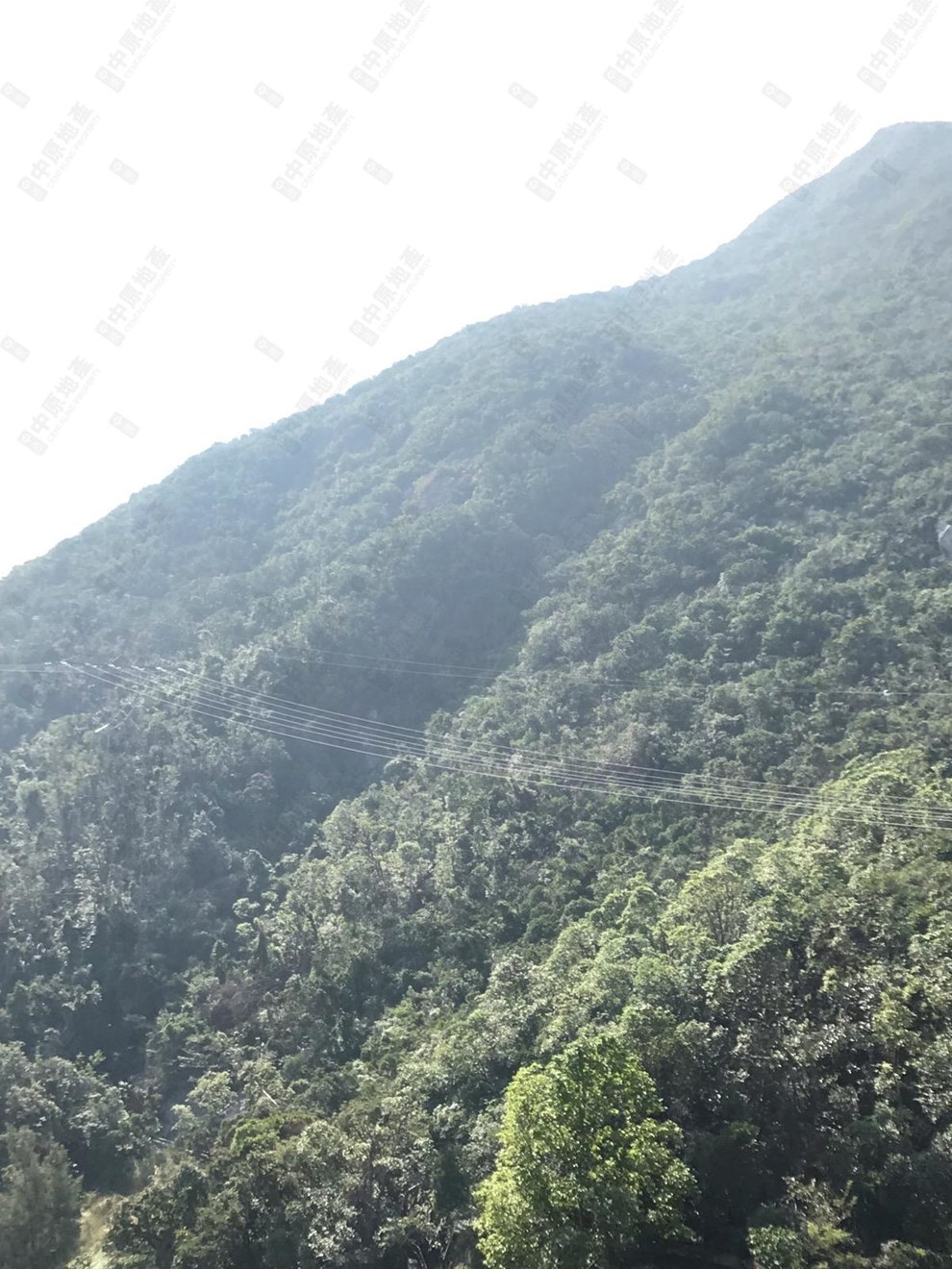 Nearby Environment-Nearby View