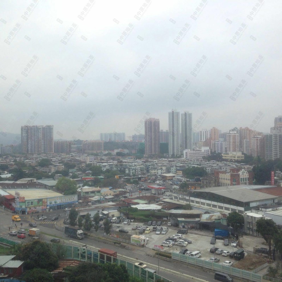 窗外景觀-由客廳