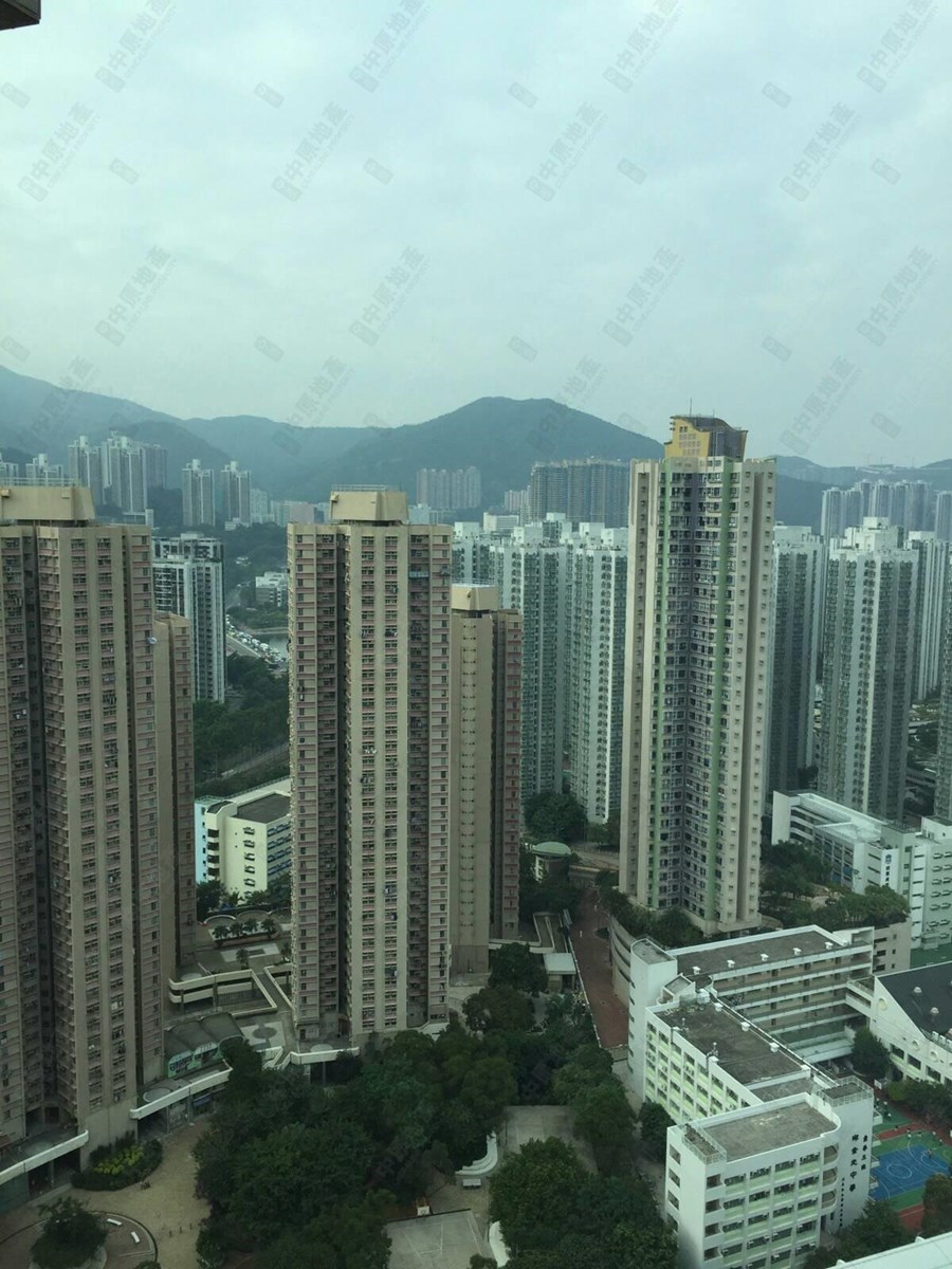 欣廷轩 2座, 相片