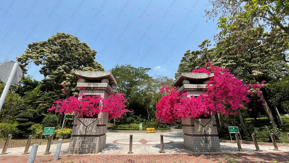 Nearby Environment-Park