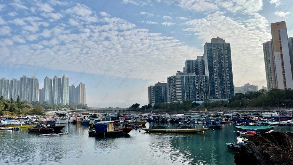 Nearby Environment-Nearby View