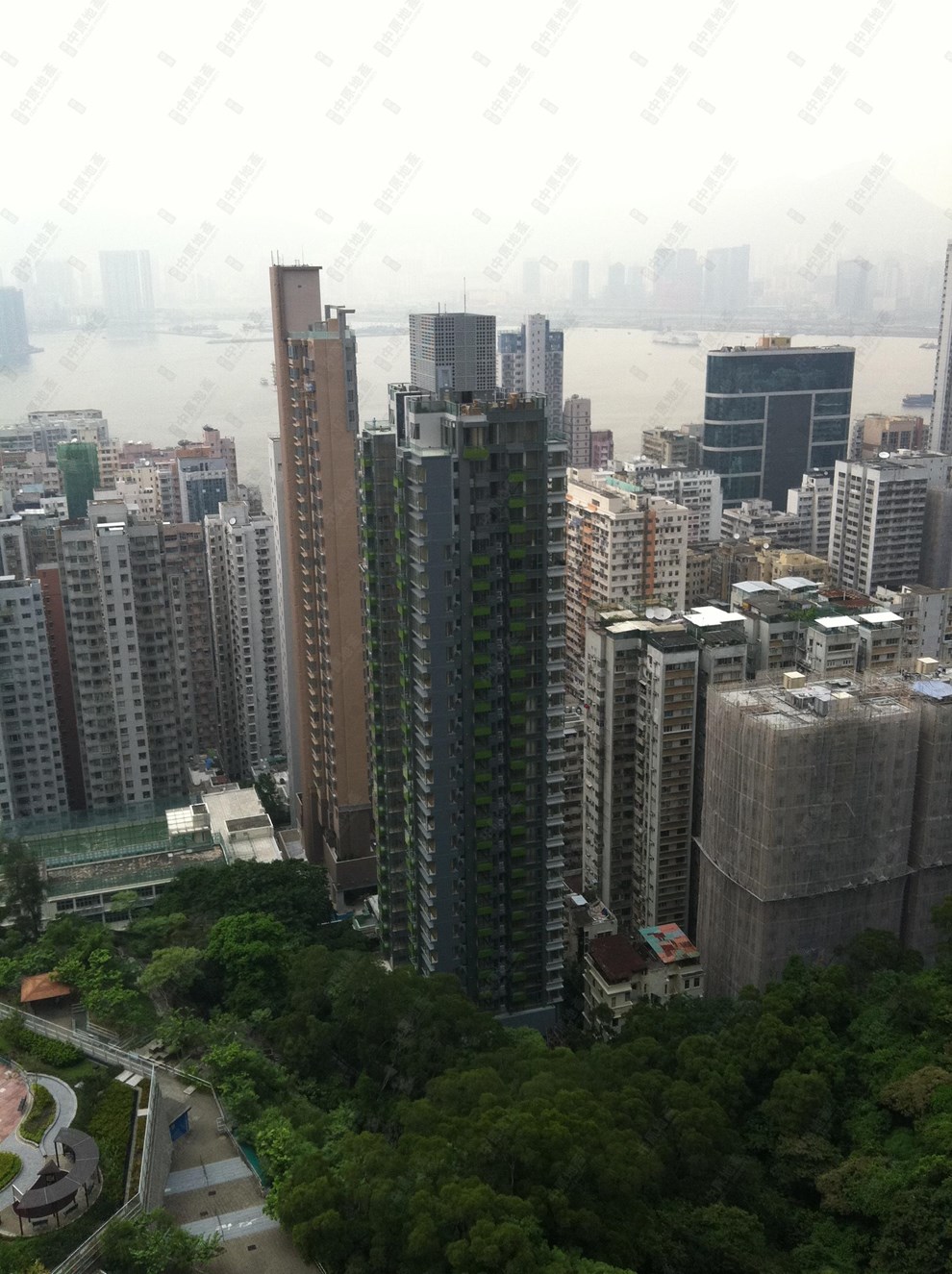 Building-Outlook
