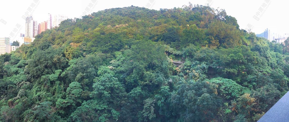 附近環境-周邊景觀