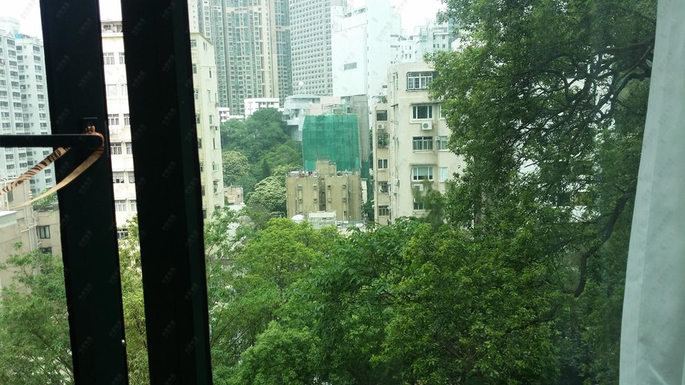Outside View-From Living Room