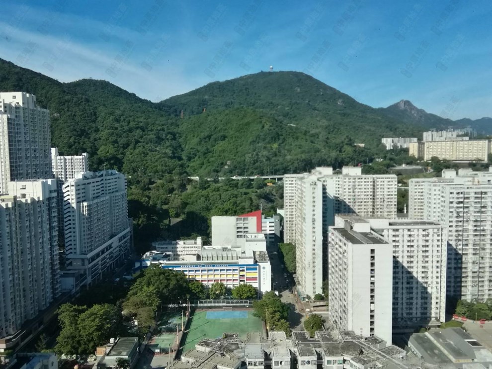 窗外景觀-由主人房