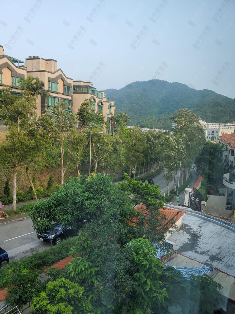 Outside View-From Living Room