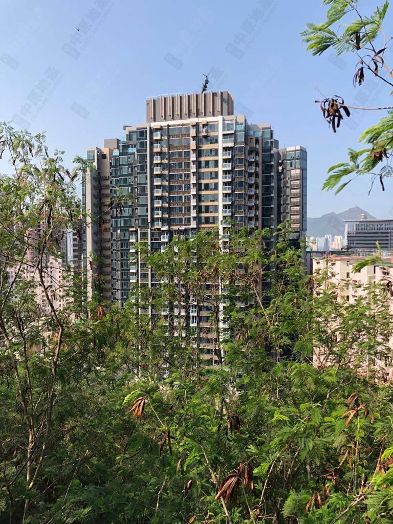 Building-Outlook