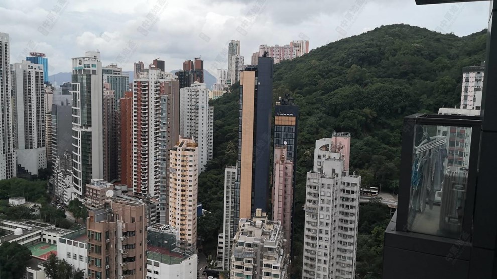 窗外景觀-由露台