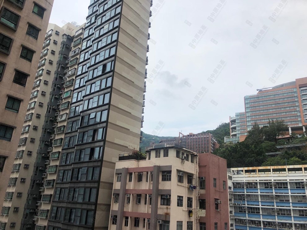 窗外景觀-由客廳