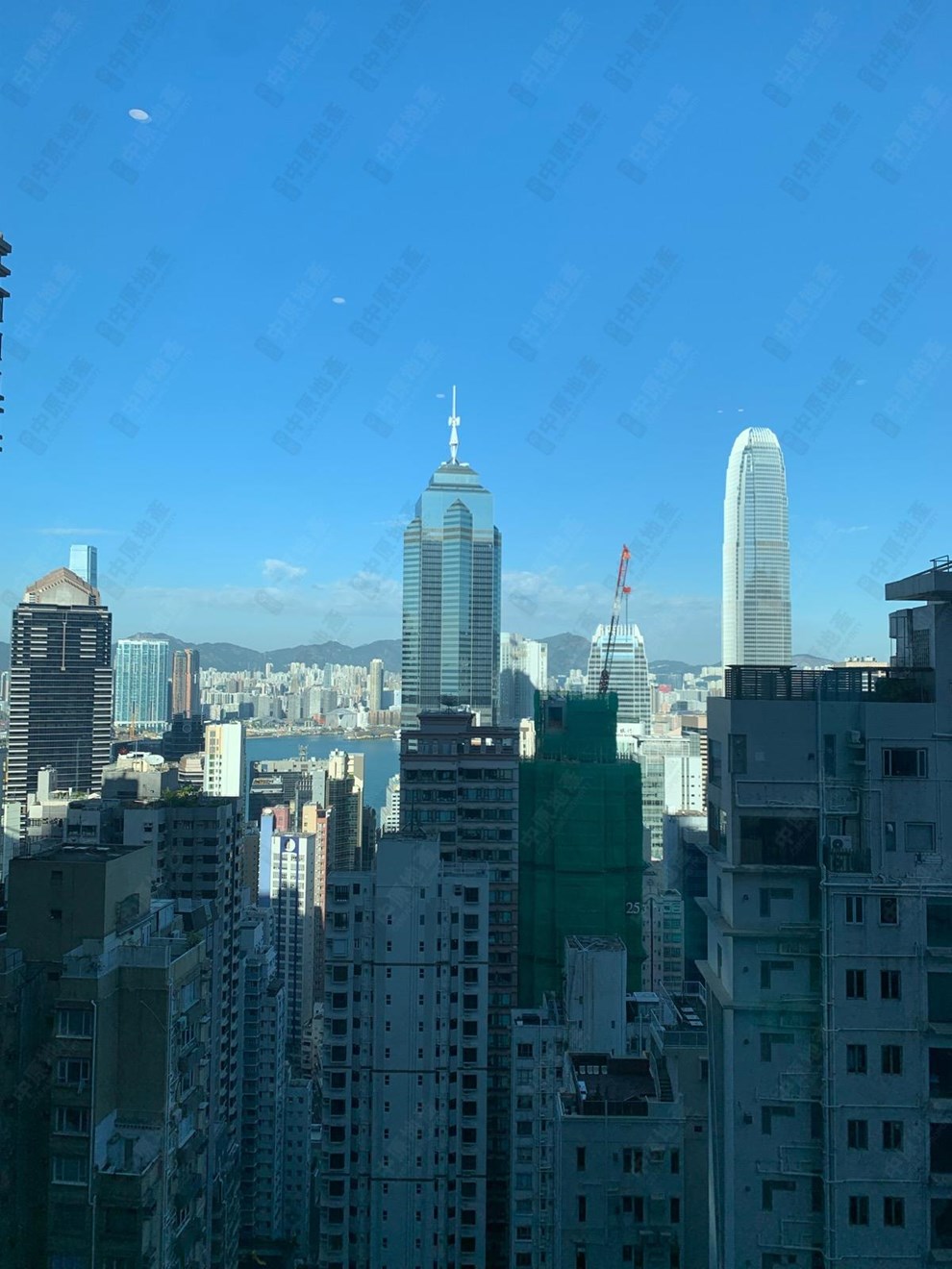窗外景观-由客厅